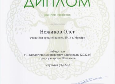 medium_Nezhikov_Oleg