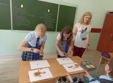 IMG_4945