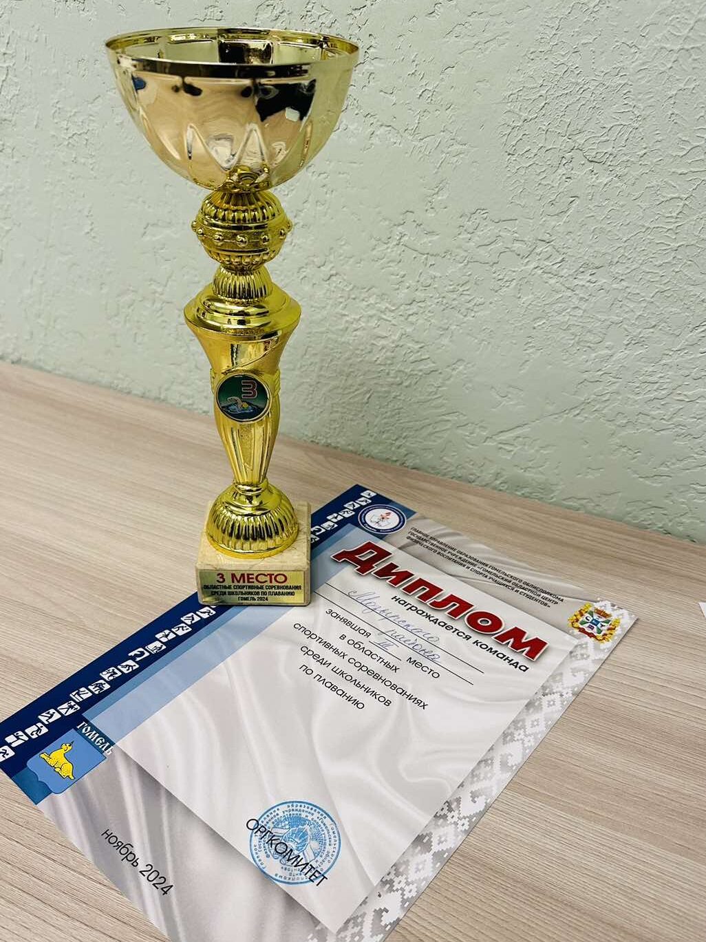 Поздравляем сборную команду Мозырского района по плаванию!