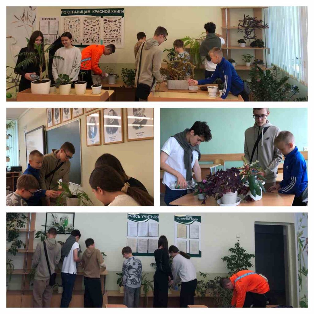 Новости