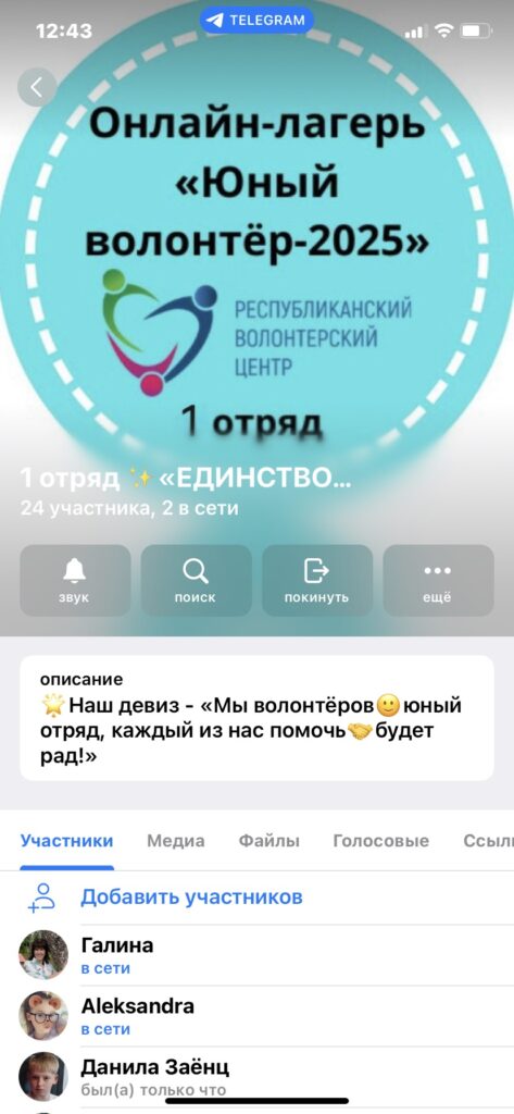 Онлайн-лагерь «Юный волонтер»