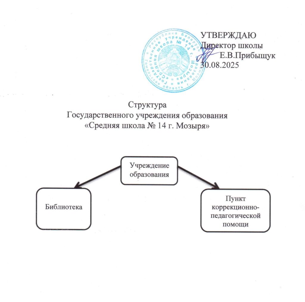 Структура учреждения