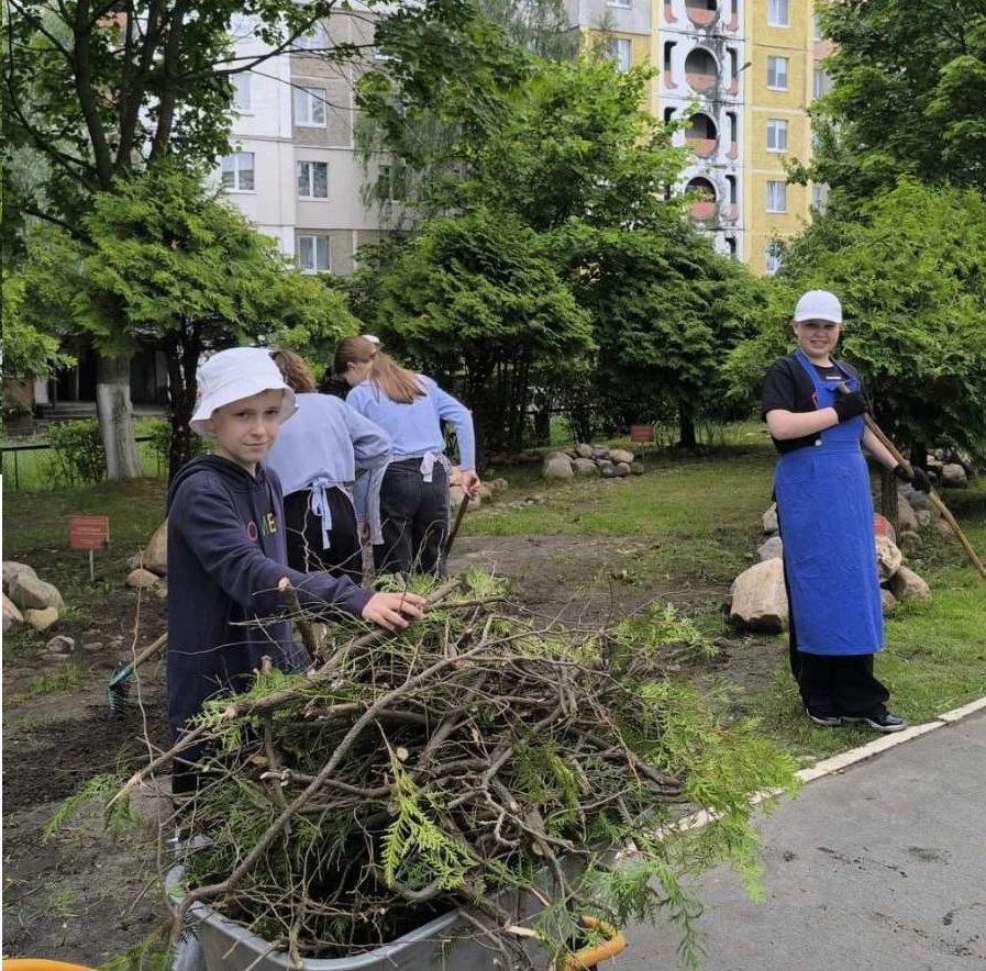 Новости