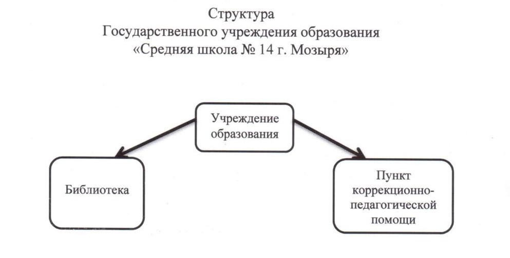 Структура учреждения